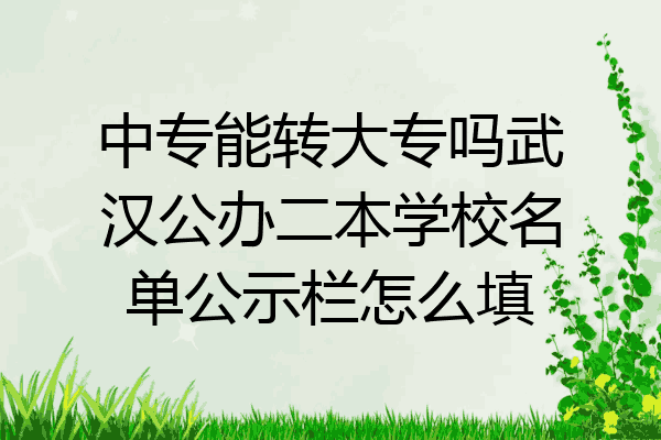 中专能转大专吗武汉公办二本学校名单公示栏怎么填