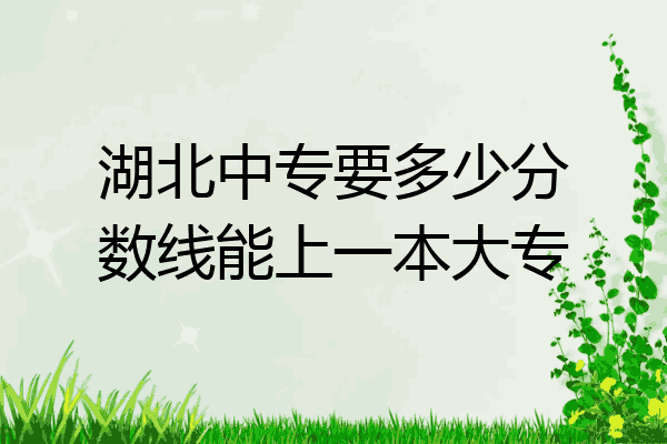 湖北中专要多少分数线能上一本大专