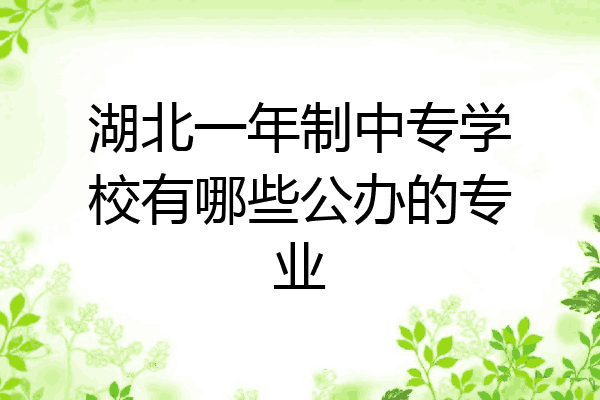 湖北一年制中专学校有哪些公办的专业