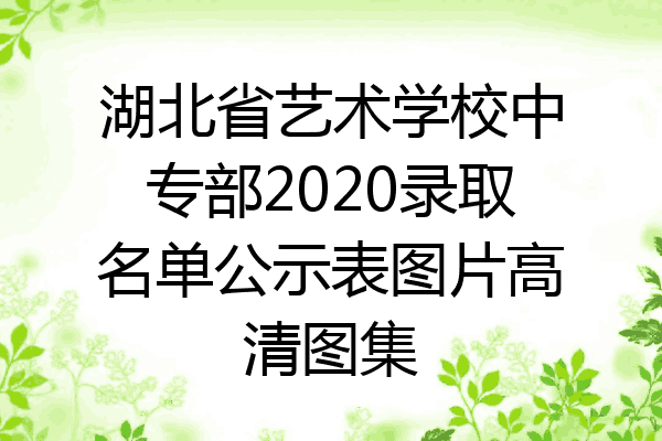 湖北省艺术学校中专部2020录取名单公示表图片高清图集