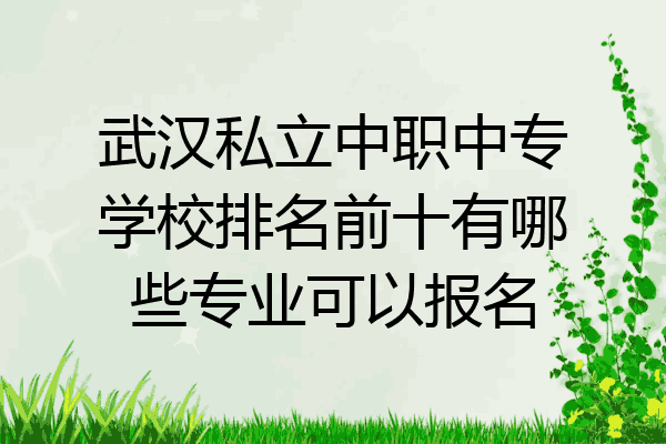 武汉私立中职中专学校排名前十有哪些专业可以报名