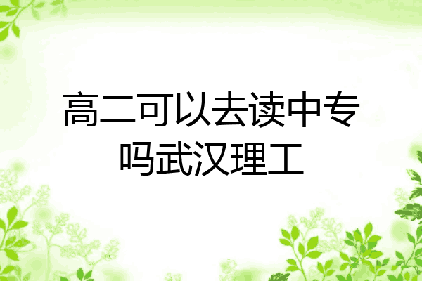 高二可以去读中专吗武汉理工