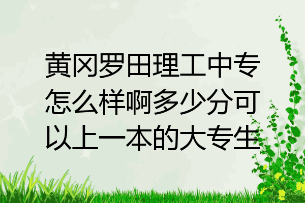 黄冈罗田理工中专怎么样啊多少分可以上一本的大专生
