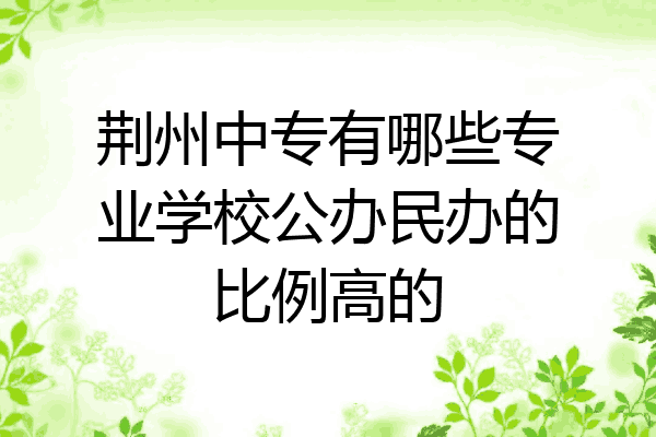 荆州中专有哪些专业学校公办民办的比例高的
