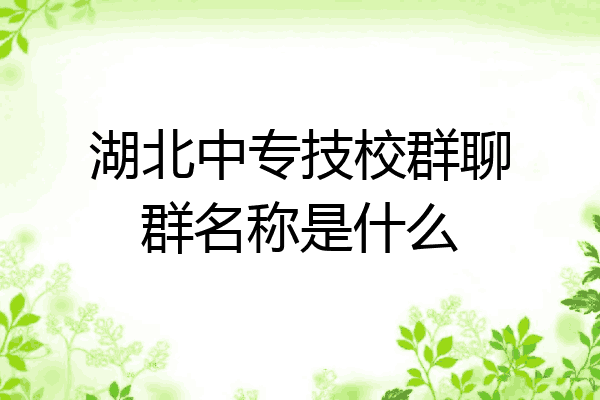 湖北中专技校群聊群名称是什么