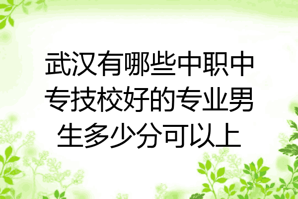 武汉有哪些中职中专技校好的专业男生多少分可以上