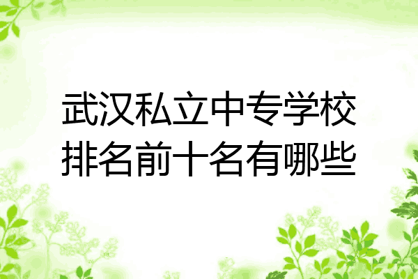 武汉私立中专学校排名前十名有哪些