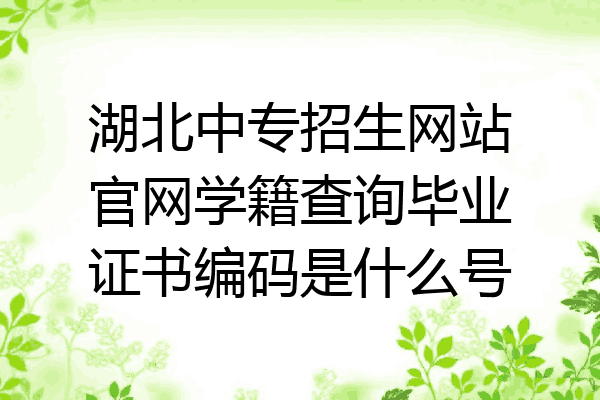 湖北中专招生网站官网学籍查询毕业证书编码是什么号