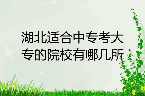 湖北适合中专考大专的院校有哪几所