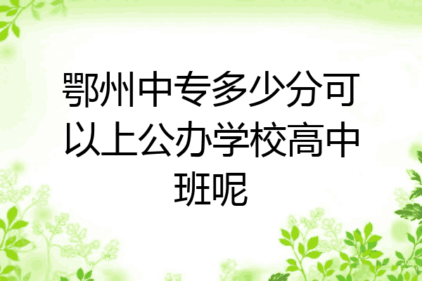 鄂州中专多少分可以上公办学校高中班呢
