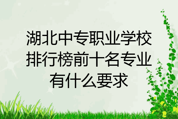 湖北中专职业学校排行榜前十名专业有什么要求