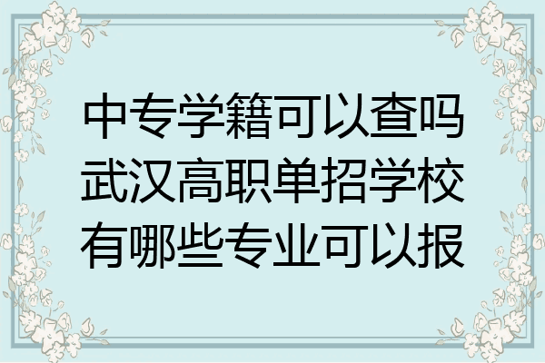中专学籍可以查吗武汉高职单招学校有哪些专业可以报