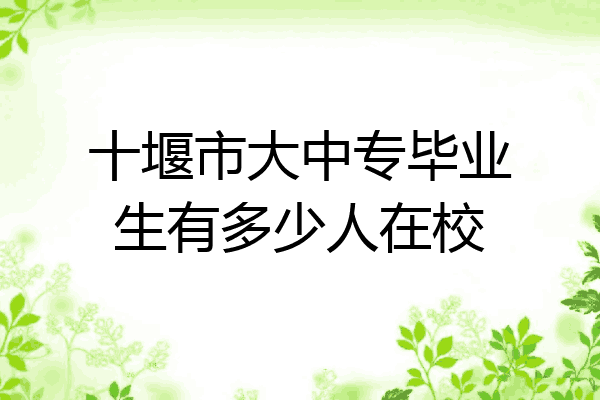 十堰市大中专毕业生有多少人在校