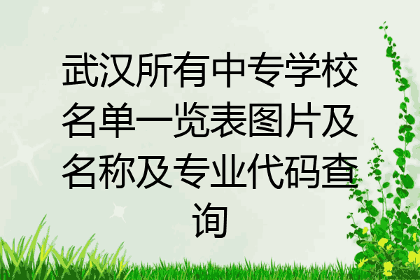武汉所有中专学校名单一览表图片及名称及专业代码查询