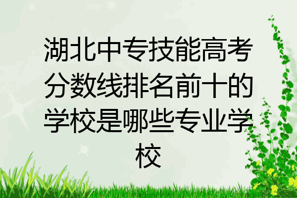 湖北中专技能高考分数线排名前十的学校是哪些专业学校