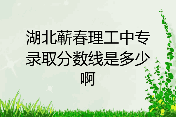 湖北蕲春理工中专录取分数线是多少啊