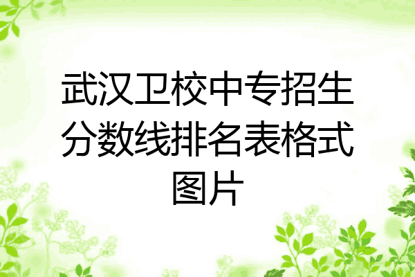 武汉卫校中专招生分数线排名表格式图片