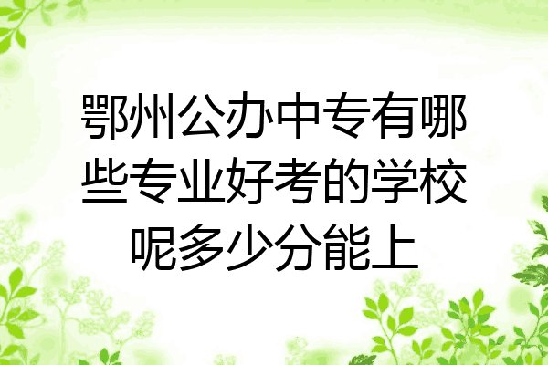 鄂州公办中专有哪些专业好考的学校呢多少分能上