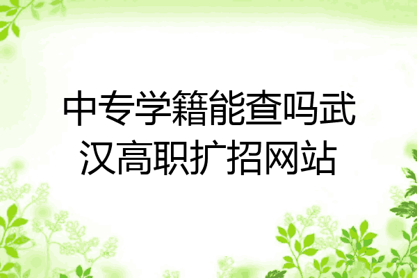 中专学籍能查吗武汉高职扩招网站