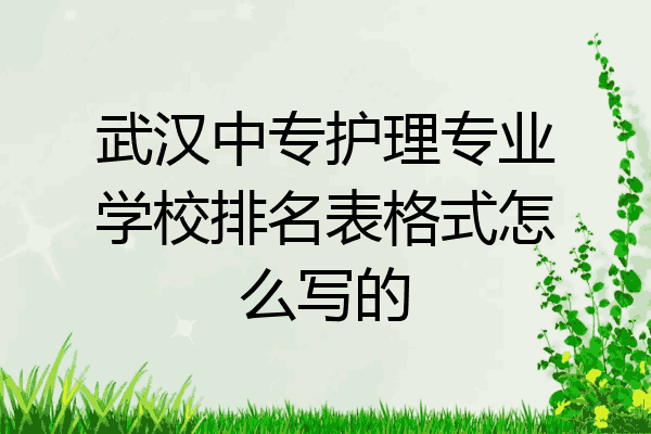 武汉中专护理专业学校排名表格式怎么写的