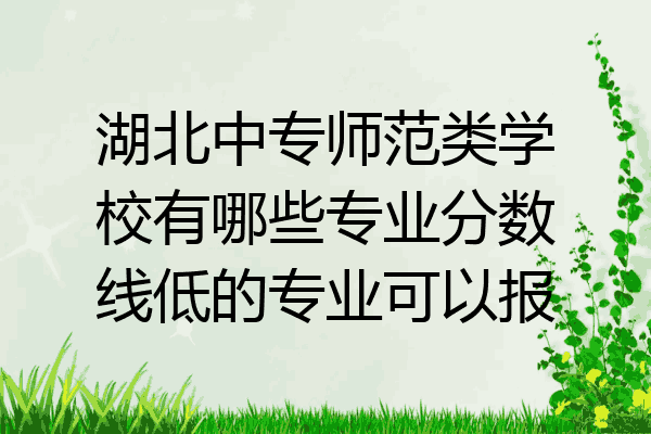 湖北中专师范类学校有哪些专业分数线低的专业可以报