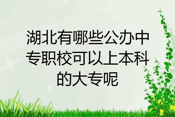 湖北有哪些公办中专职校可以上本科的大专呢