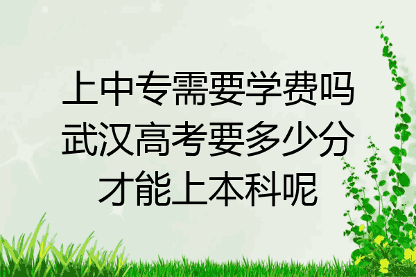 上中专需要学费吗武汉高考要多少分才能上本科呢
