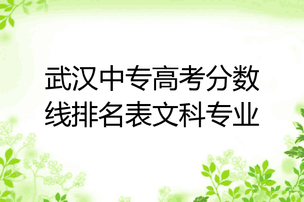 武汉中专高考分数线排名表文科专业