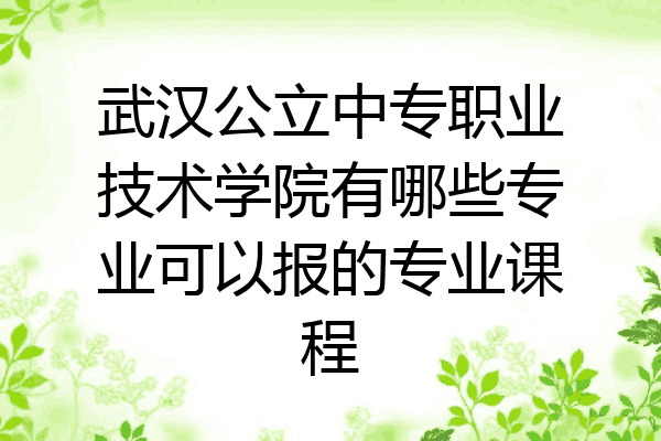 武汉公立中专职业技术学院有哪些专业可以报的专业课程
