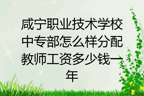咸宁职业技术学校中专部怎么样分配教师工资多少钱一年