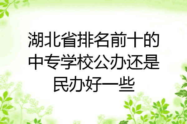 湖北省排名前十的中专学校公办还是民办好一些