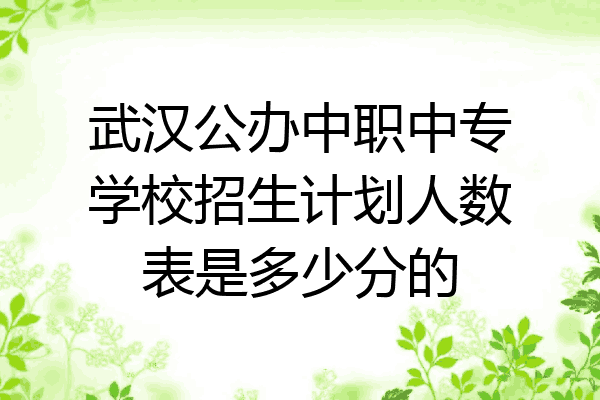 武汉公办中职中专学校招生计划人数表是多少分的