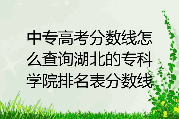 中专高考分数线怎么查询湖北的专科学院排名表分数线