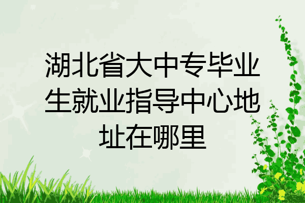 湖北省大中专毕业生就业指导中心地址在哪里