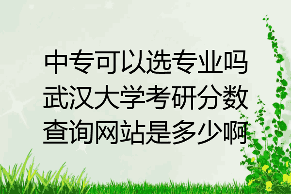 中专可以选专业吗武汉大学考研分数查询网站是多少啊