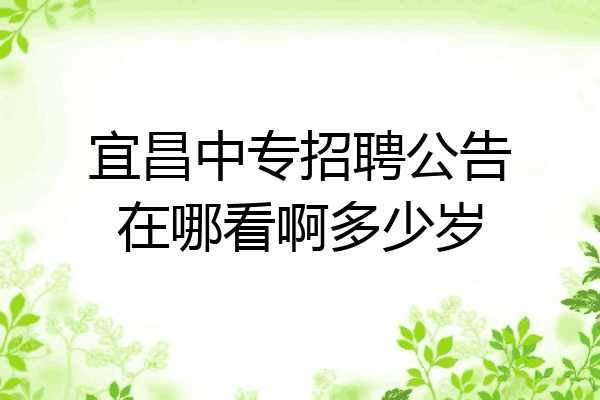 宜昌中专招聘公告在哪看啊多少岁