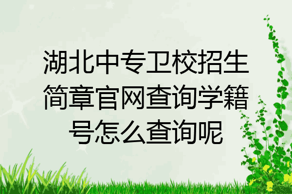 湖北中专卫校招生简章官网查询学籍号怎么查询呢