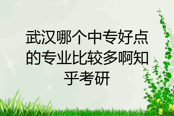 武汉哪个中专好点的专业比较多啊知乎考研