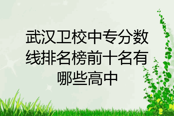 武汉卫校中专分数线排名榜前十名有哪些高中