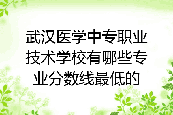 武汉医学中专职业技术学校有哪些专业分数线最低的