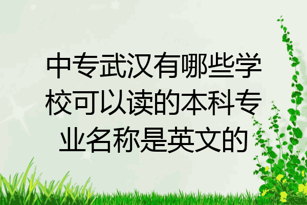 中专武汉有哪些学校可以读的本科专业名称是英文的