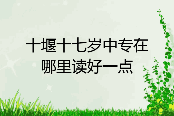 十堰十七岁中专在哪里读好一点