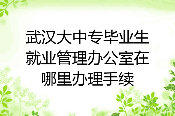 武汉大中专毕业生就业管理办公室在哪里办理手续