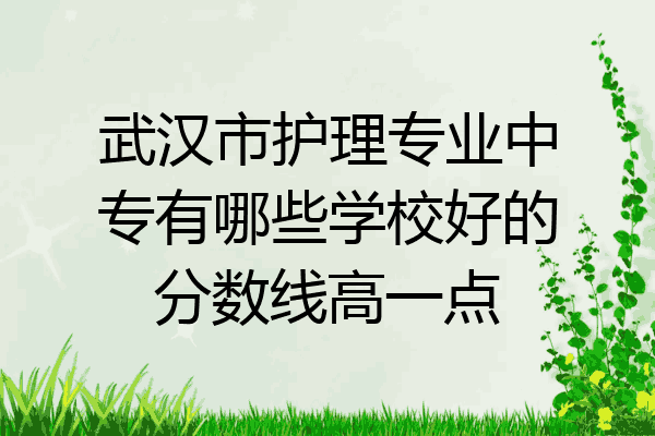 武汉市护理专业中专有哪些学校好的分数线高一点