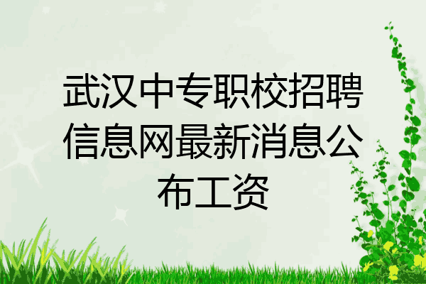 武汉中专职校招聘信息网最新消息公布工资