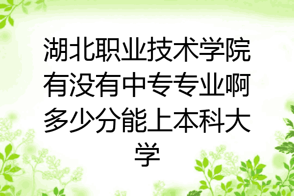 湖北职业技术学院有没有中专专业啊多少分能上本科大学