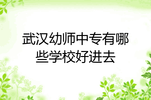 武汉幼师中专有哪些学校好进去
