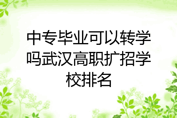 中专毕业可以转学吗武汉高职扩招学校排名