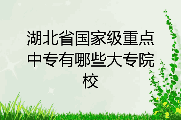 湖北省国家级重点中专有哪些大专院校