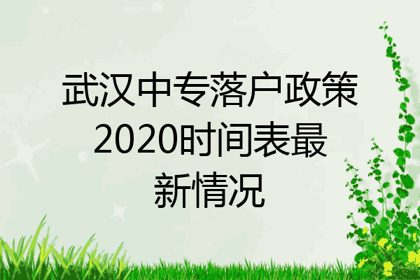 武汉中专落户政策2020时间表最新情况